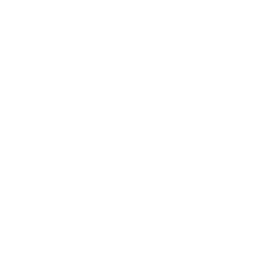 Municipal Sanitation icon